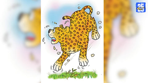 Understanding the Sudden Rise of Leopards in Human Areas