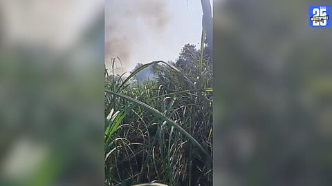 Short Circuit Sparks Major Fire in Sugarcane Field