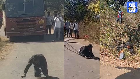 Bizarre Incident in Satara: Man Crawls, Barks Like a Dog; Viral Video Alarms Citizens