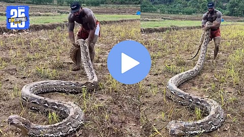Viral Snake Video