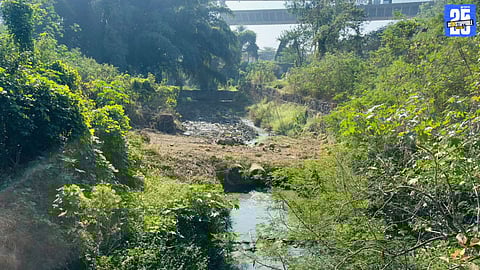 Untreated Sewage Pollutes Katraj Lake Despite STP Project