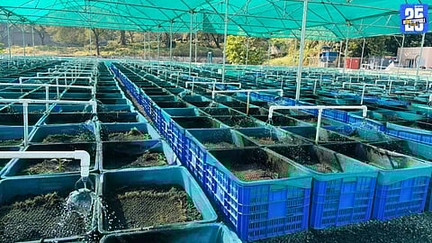 Municipal Authorities Plan Full Capacity Sewage Treatment