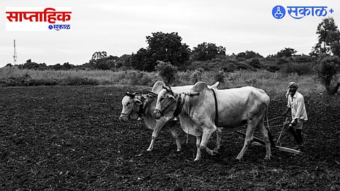 Organic Farming India Benefits