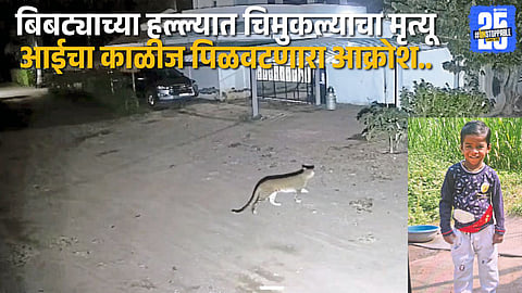 Heartbreaking Incident: Child Killed in Leopard Attack in Ahmednagar District