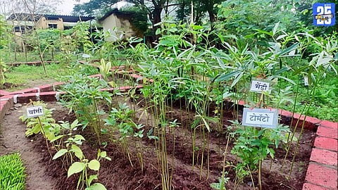 Kitchen Gardens Flourish in Raigad ZP Schools