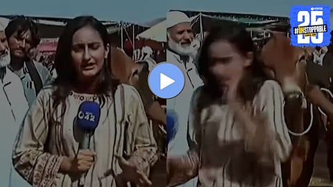 Female Journalist Attacked by Bull During Live Reporting