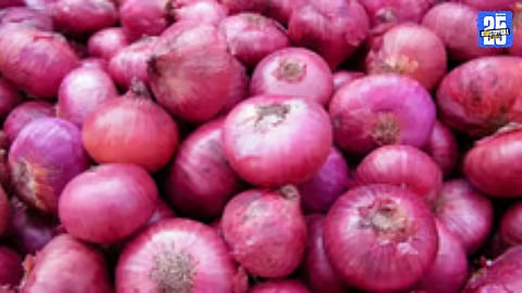 Onion Market Turns Positive; Farmers Hope for Better Returns