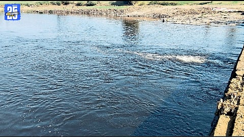 Chemical Pollution Turns Panchganga