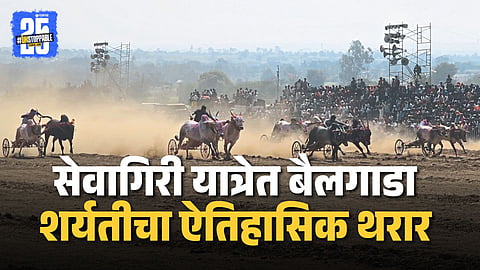 Pusegaon Hindkesari Bullock Cart Race