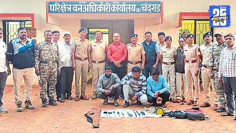 Kolhapur Forest Incident