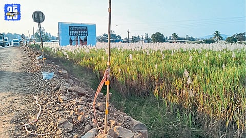 Farmers Demand Immediate