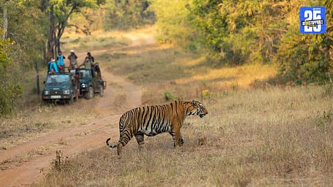 madhya pradesh tiger state