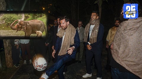 Messi visits Vantara in Gujarat
