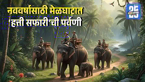 Elephant Safari in Melghat