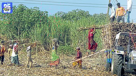 Delay and Irregularities in Cane Cutting System