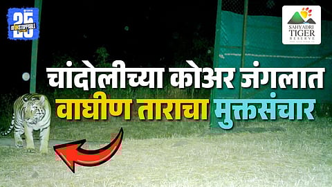 Sahyadri Tiger Reserve