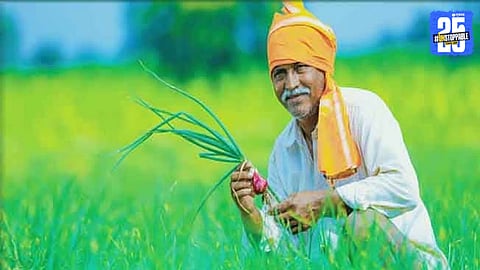 Rabi Crop Insurance