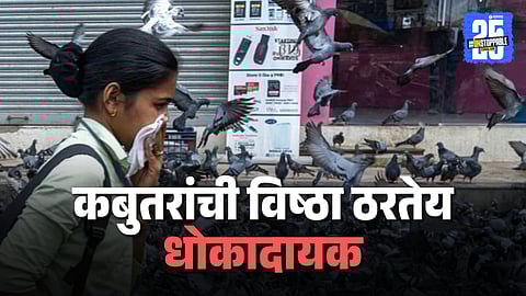 Karnataka Pigeon Feeding Ban