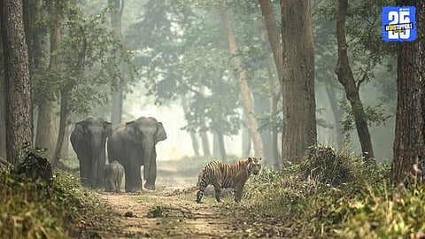 Uttar Pradesh Tourism