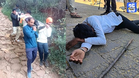 Perfume Use Triggers Aggressive Bee Swarms