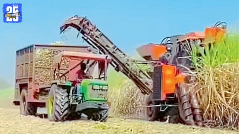 Mechanized Sugarcane Harvest