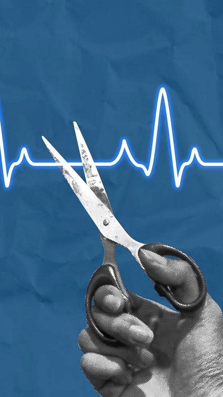 What is euthanasia and what is application process for Euthanasia ...