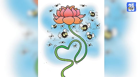 Satirical Take on Local Body Election Results