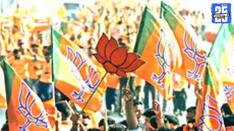 BJP Wins Only Four Municipal Councils in Solapur District