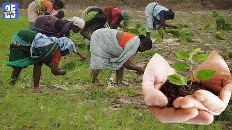 Rabi Crop Insurance Scheme 