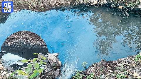 Historic Rajaram Lake Pollution Crisis