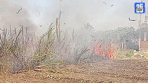 5 Acres Sugarcane Field Destroyed in Fire at Loni Kalbhor