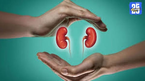 Girl’s Father Refused Deal: Dark Truth Behind Kidney Sale Network