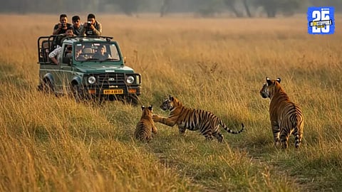 Dudhwa Tiger Safari