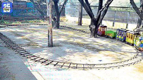 Neglected Public Park