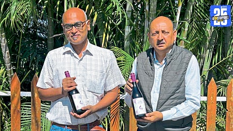 Indian wine industry