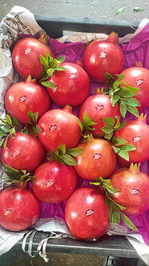 साताऱ्याच्या डाळिंबाला उच्चांकी भाव