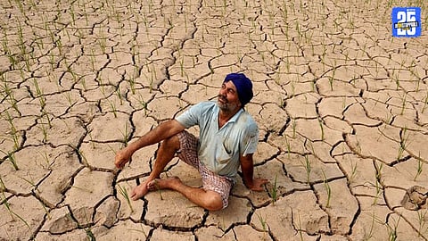 Farmer Debt Crisis in Maharashtra