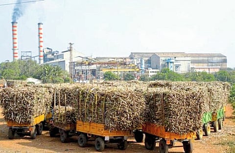 कुडाळ प्रतापगड कारखान्याचे 1 लाख टनाचे गाळप पुर्ण