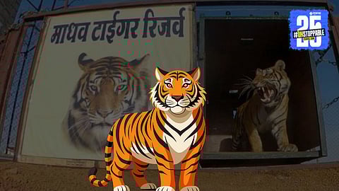 madhav tiger reserve