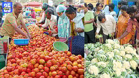 Tomato Prices Rise 