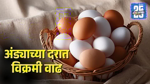 Egg Price Hike