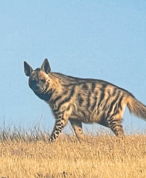 इंदपूरची कडबनवाडी जगाच्या नकाशावर