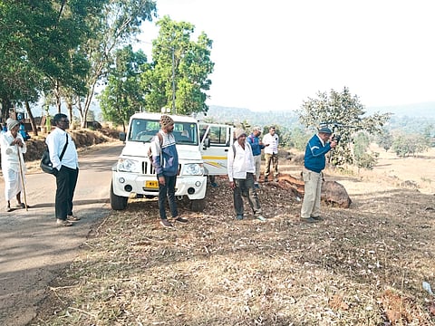ढेबेवाडी सुधारित ढेबेवाडीच्या डोंगरपट्ट्यात '' तारा'' चीच चर्चा