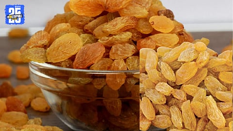 Investigation into Chinese Raisin