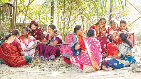 Municipal election nomination scrutiny explained