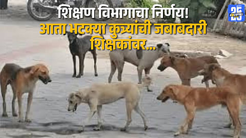 Teachers reacting to the education department’s order assigning them stray dog control responsibilities.