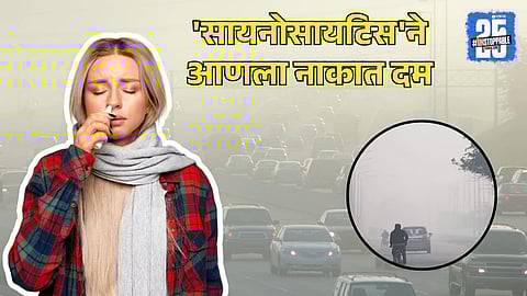 Increasing Sinus Issues Due to Cold Dust and AC