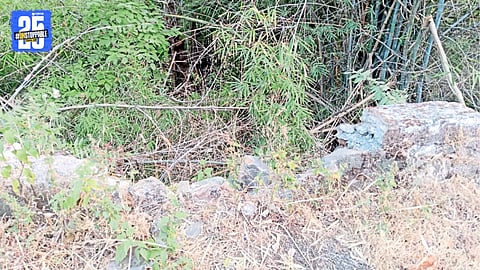 Collapsed safety guardrails at a sharp curve in Girroli Ghat posing serious risk to commuters.