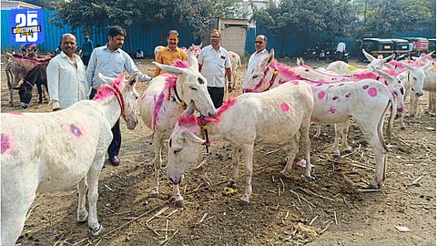 Traditional Donkey Market in Jejuri