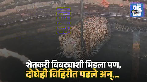Leopard Attack Sinnar : शेतात जेवण करताना बिबट्याचा हल्ला, दोघेही पडले विहिरीत; शेतकऱ्याचा मृत्यू तर बिबट्याही... थरकाप उडवणारी घटना